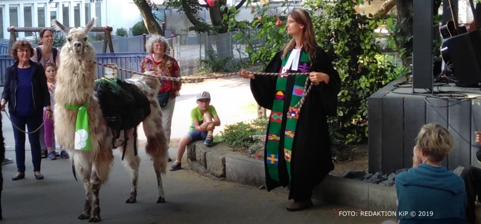 Pfarrerin mit zwei Lamas beim Kirchentag