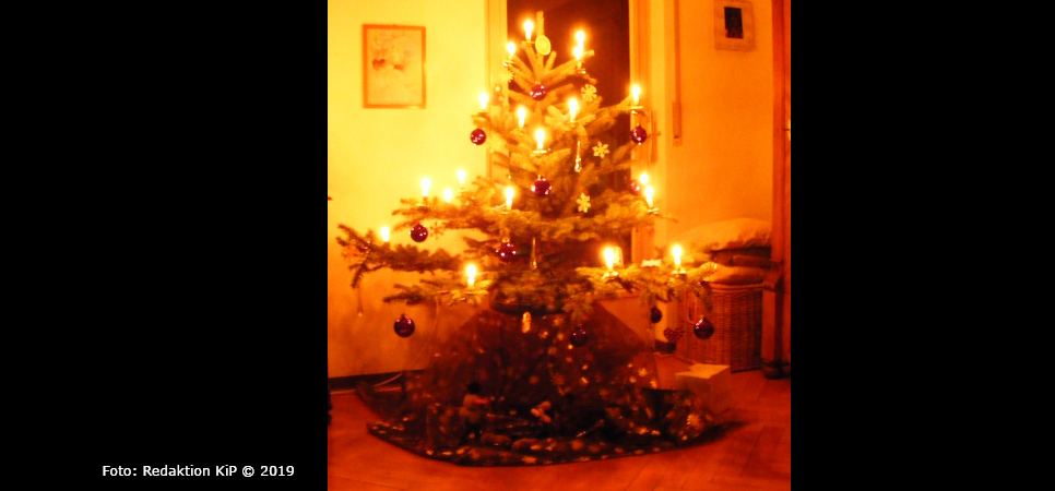 Gab es vor 600 Jahren den ersten Weihnachtsbaum?