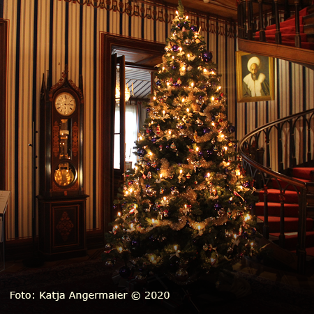 500 Jahre auf dem Buckel: der Weihnachtsbaum